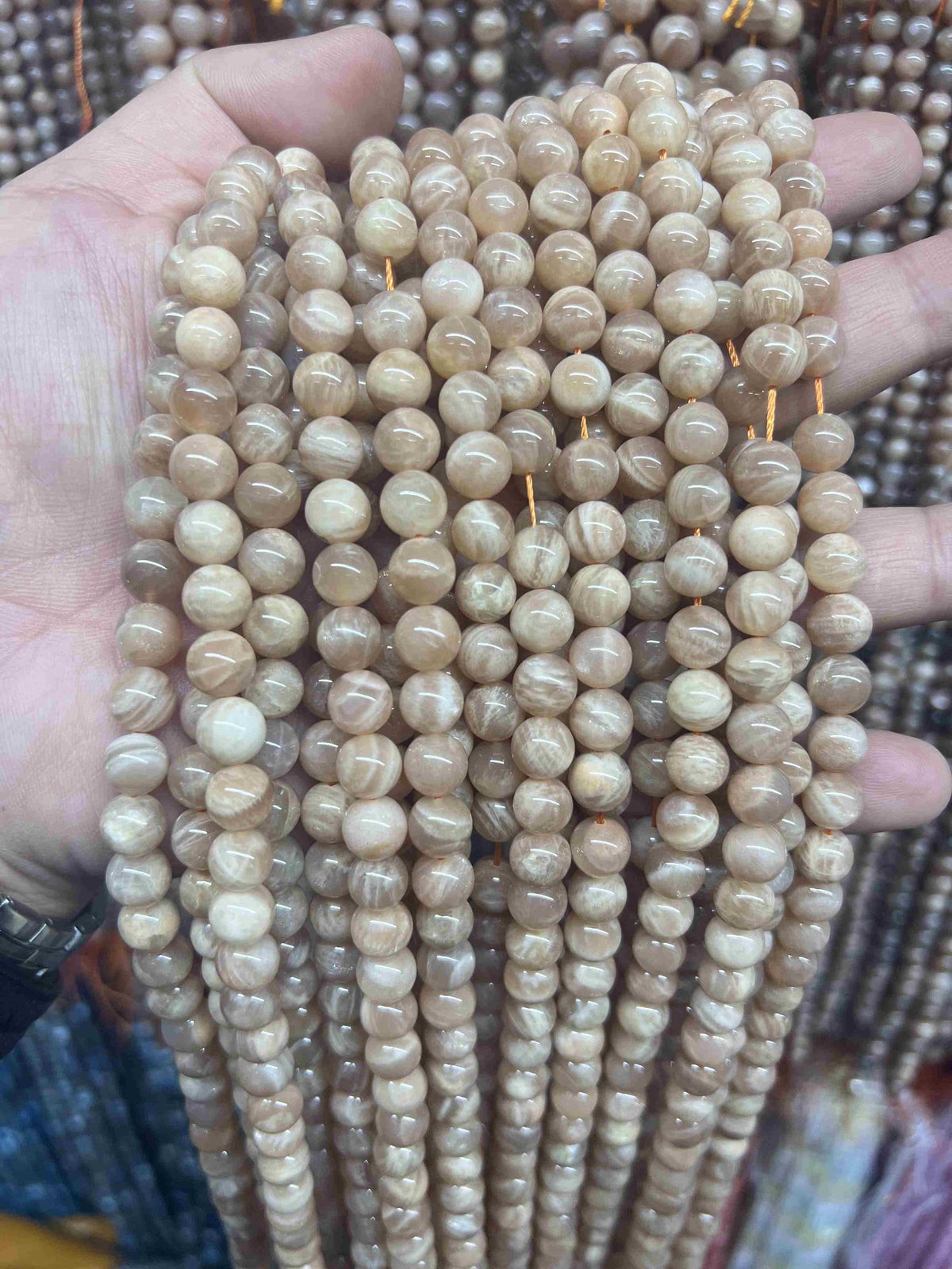 VIP 8mm #1 Free Shipping