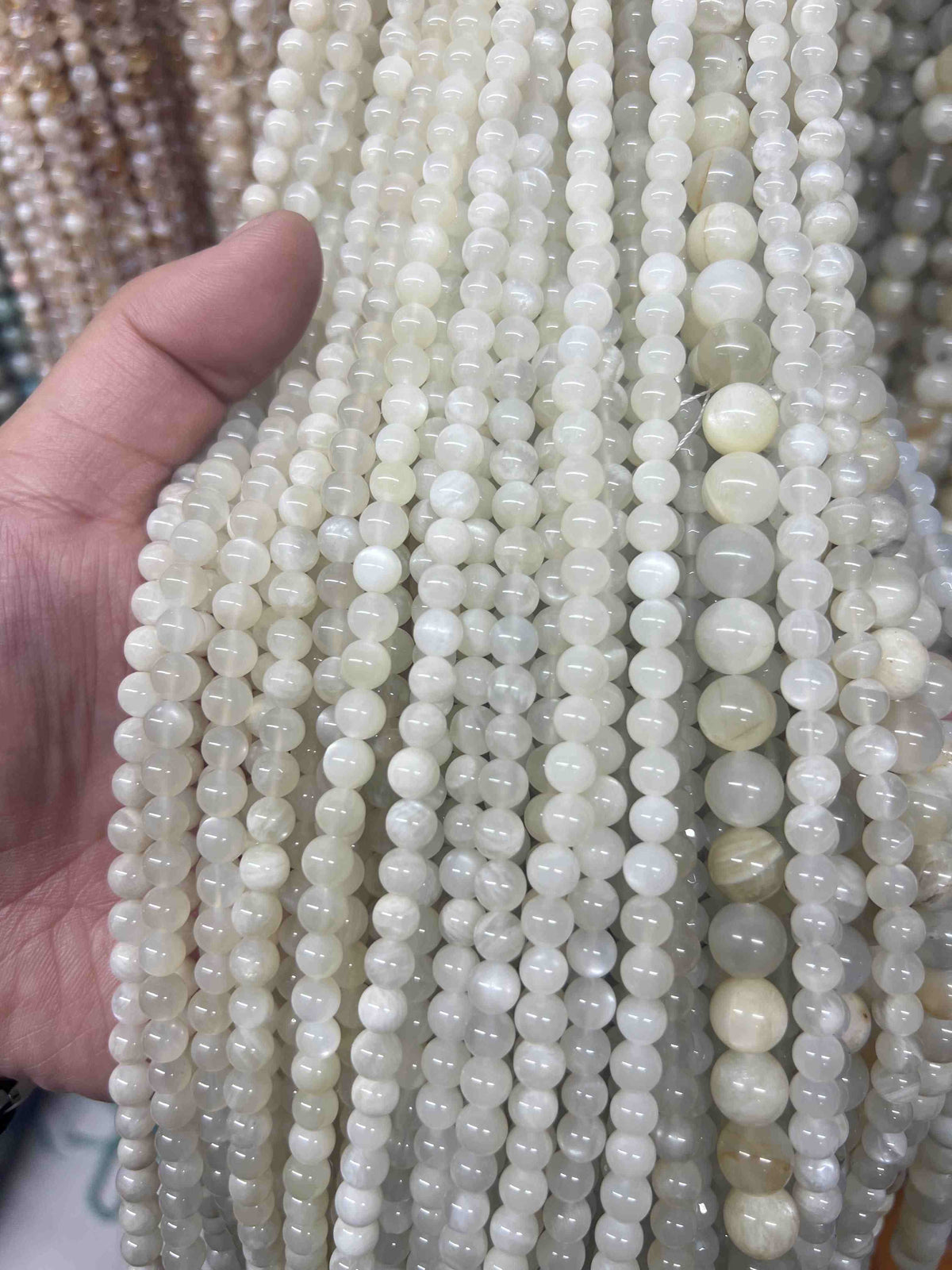 VIP 8mm #1 Free Shipping